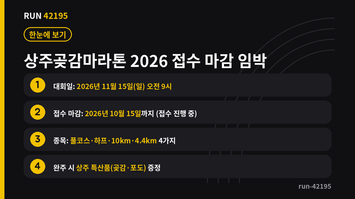 상주곶감마라톤 핵심 요약 정리