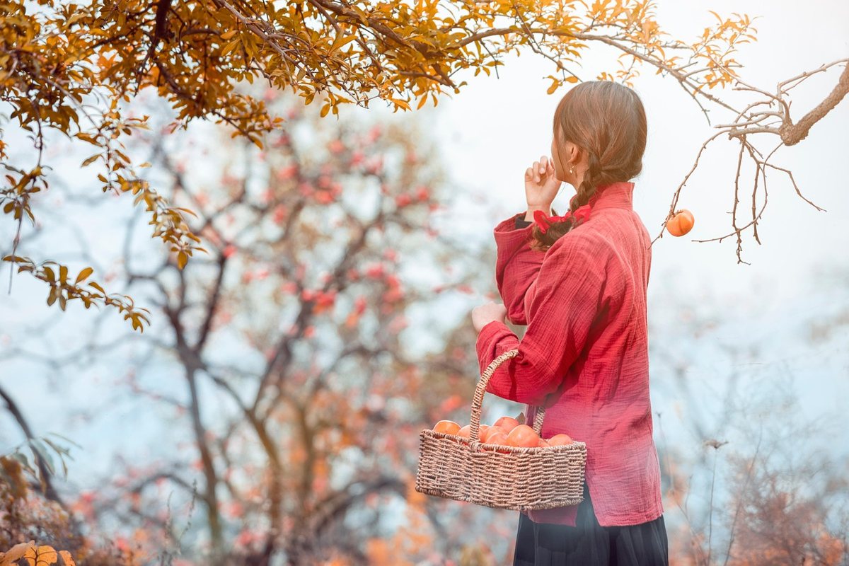 상주곶감마라톤 관련 사진